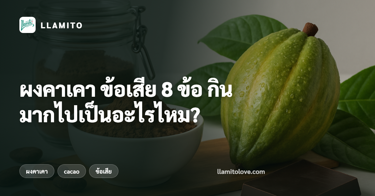 ผงคาเคา ข้อเสีย 8 ข้อ กินมากไปเป็นอะไรไหม?