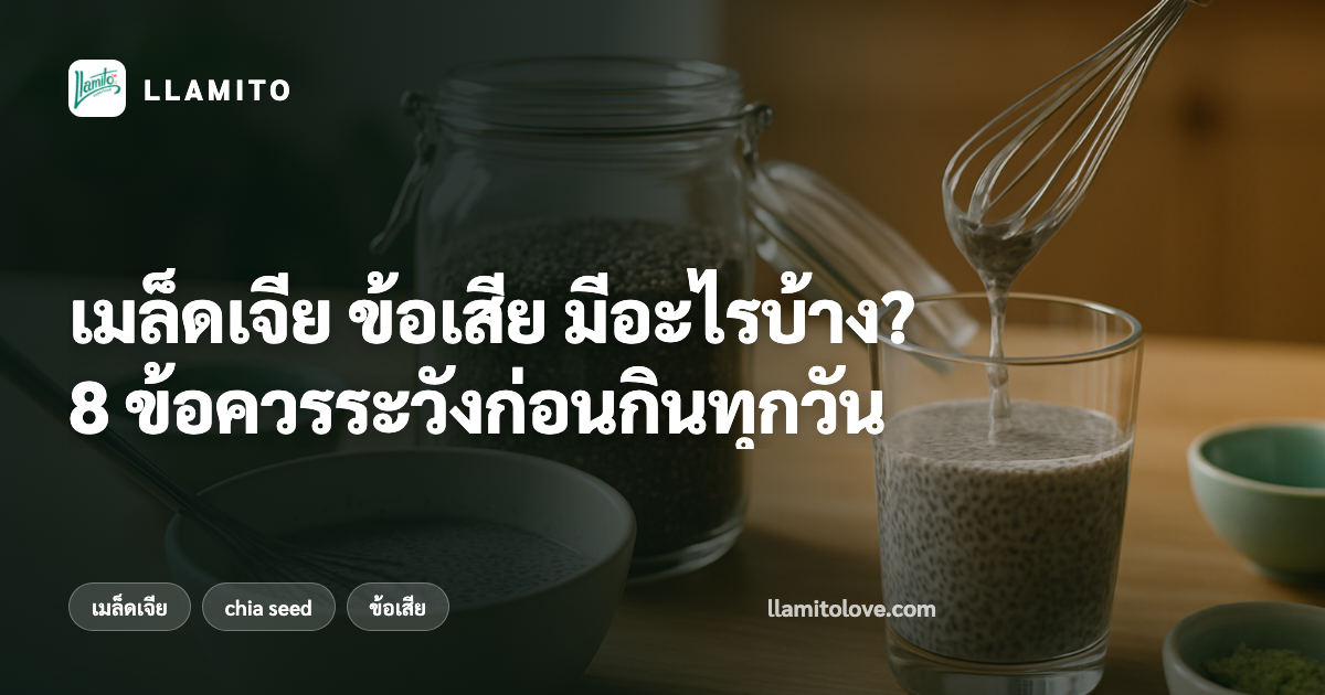 เมล็ดเจีย ข้อเสีย มีอะไรบ้าง? 8 ข้อควรระวังก่อนกินทุกวัน