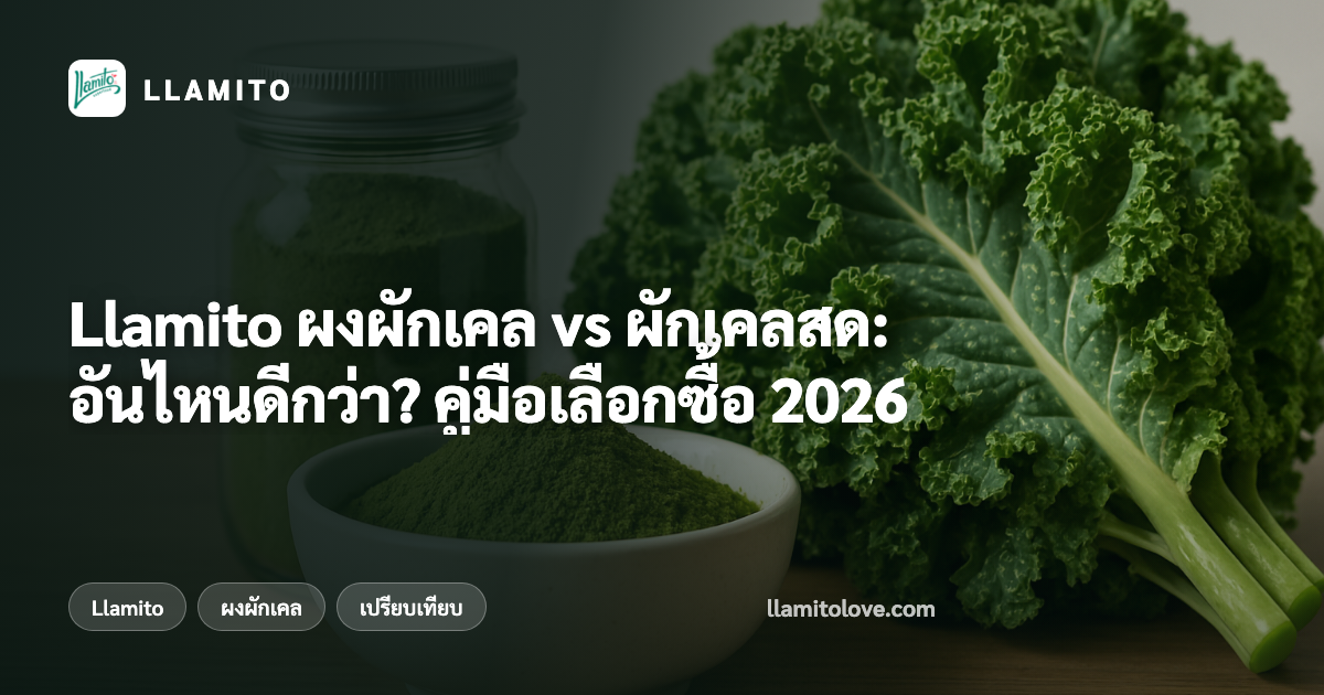 Llamito ผงผักเคล vs ผักเคลสด: อันไหนดีกว่า? คู่มือเลือกซื้อ 2026