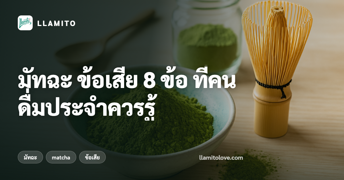 มัทฉะ ข้อเสีย 8 ข้อ ที่คนดื่มประจำควรรู้
