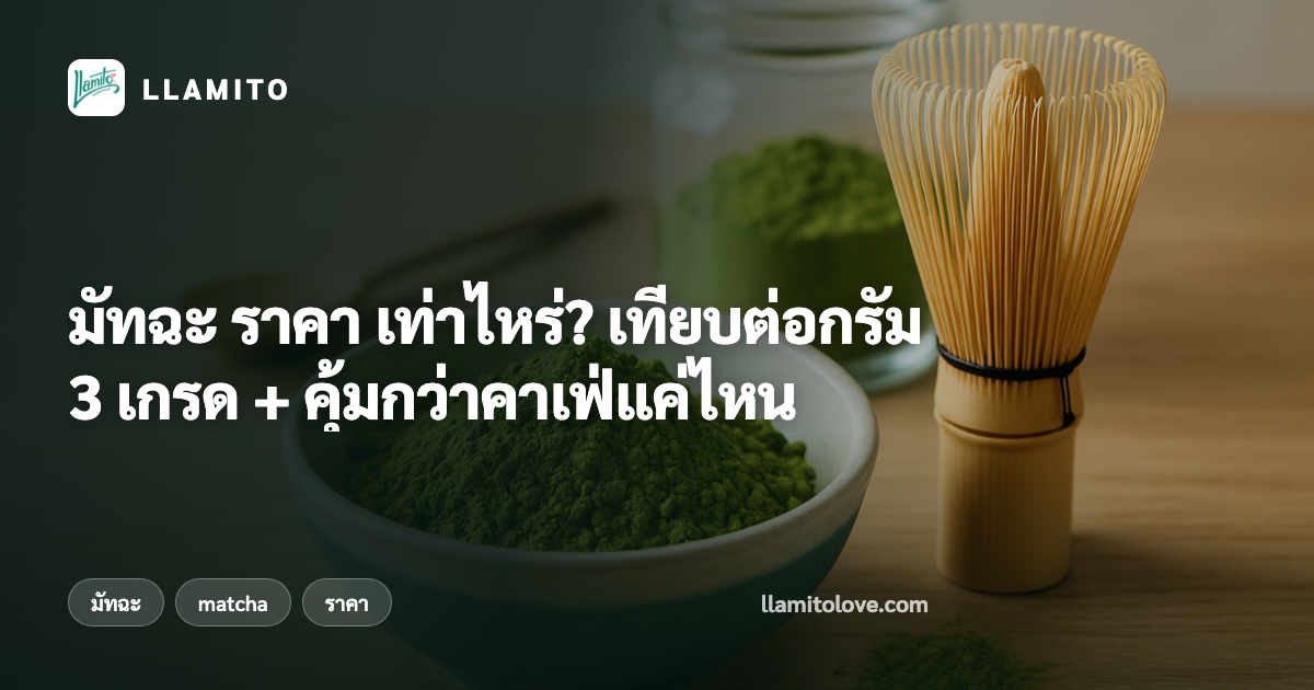 มัทฉะ ราคา เท่าไหร่? เทียบต่อกรัม 3 เกรด + คุ้มกว่าคาเฟ่แค่ไหน