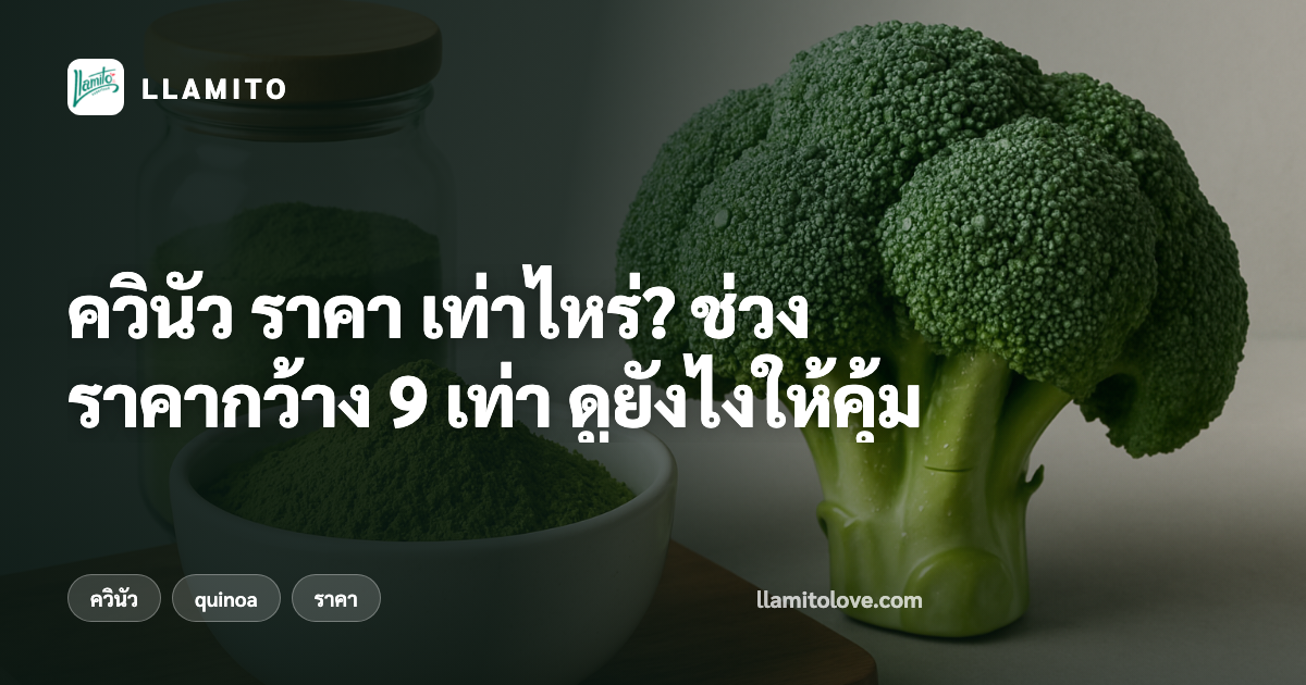 ควินัว ราคา เท่าไหร่? ช่วงราคากว้าง 9 เท่า ดูยังไงให้คุ้ม